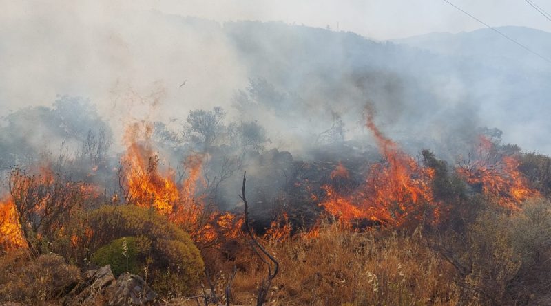 Dalaman’da orman yangını