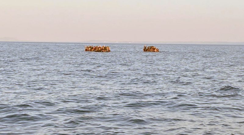 Datça açıklarında 104 düzensiz göçmen kurtarıldı