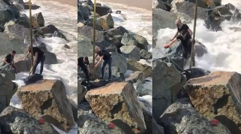 Denize düşen kurbanlık boğa vatandaşlar tarafından kurtarıldı