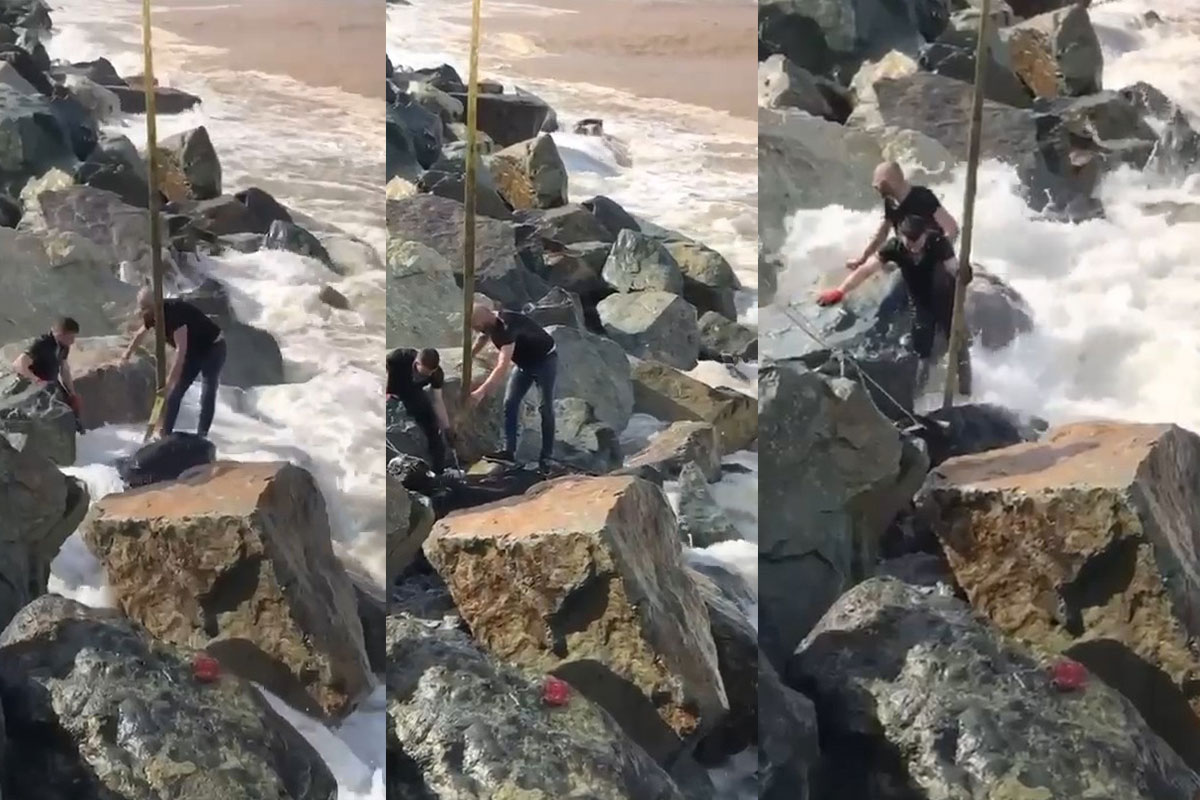 Denize düşen kurbanlık boğa vatandaşlar tarafından kurtarıldı