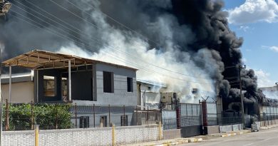 Diyarbakır’da kozmetik fabrikasında yangın