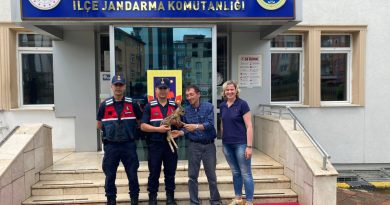 Dolandırıcılıktan 20 yıl kesinleşmiş hapis cezası bulunan şahıs yakalandı