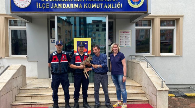 Dolandırıcılıktan 20 yıl kesinleşmiş hapis cezası bulunan şahıs yakalandı