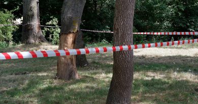 Edirne'de ormanlara giriş 3 ay yasaklandı