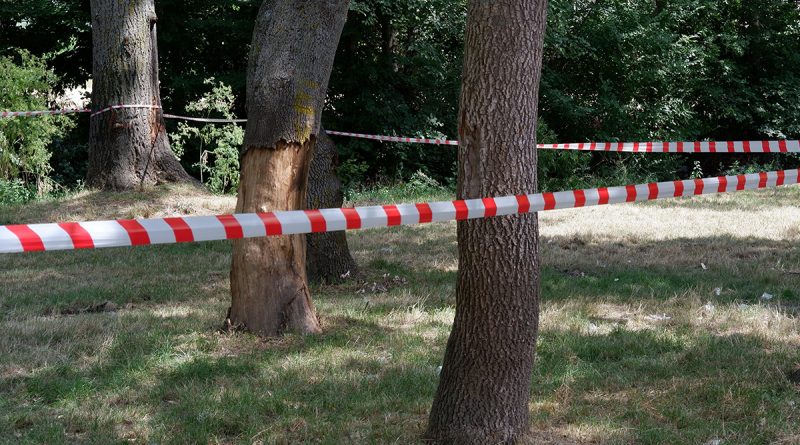 Edirne'de ormanlara giriş 3 ay yasaklandı