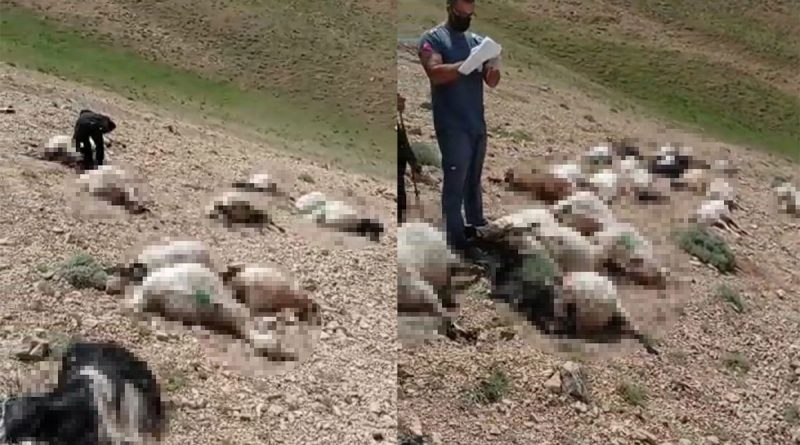 Ekipler yıldırım çarpan çoban için seferber oldu