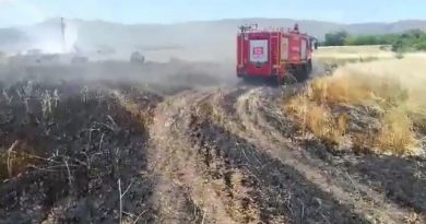 Elazığ’da 12 dönüm ekili alan kül oldu