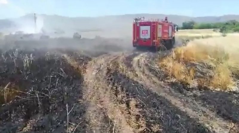 Elazığ’da 12 dönüm ekili alan kül oldu