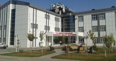 Elazığ’da 84 yaşındaki vatandaşı kene ısırdı