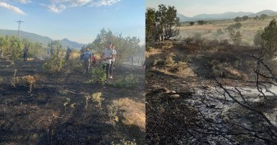 Elazığ'da ormanlık alanda çıkan yangın büyümeden söndürüldü