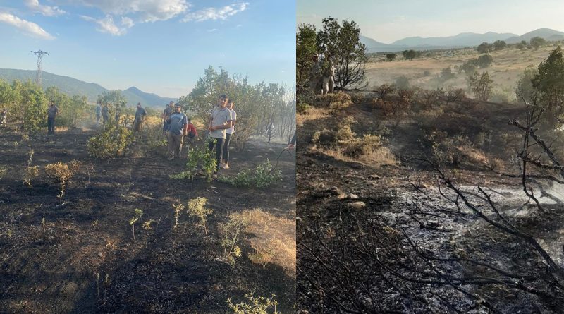 Elazığ'da ormanlık alanda çıkan yangın büyümeden söndürüldü
