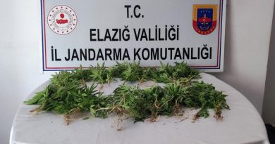 Elazığ’da uyuşturucu operasyonu