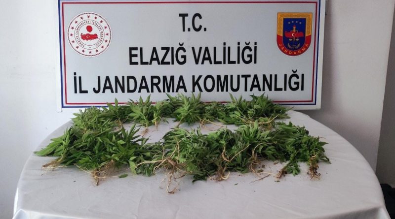 Elazığ’da uyuşturucu operasyonu