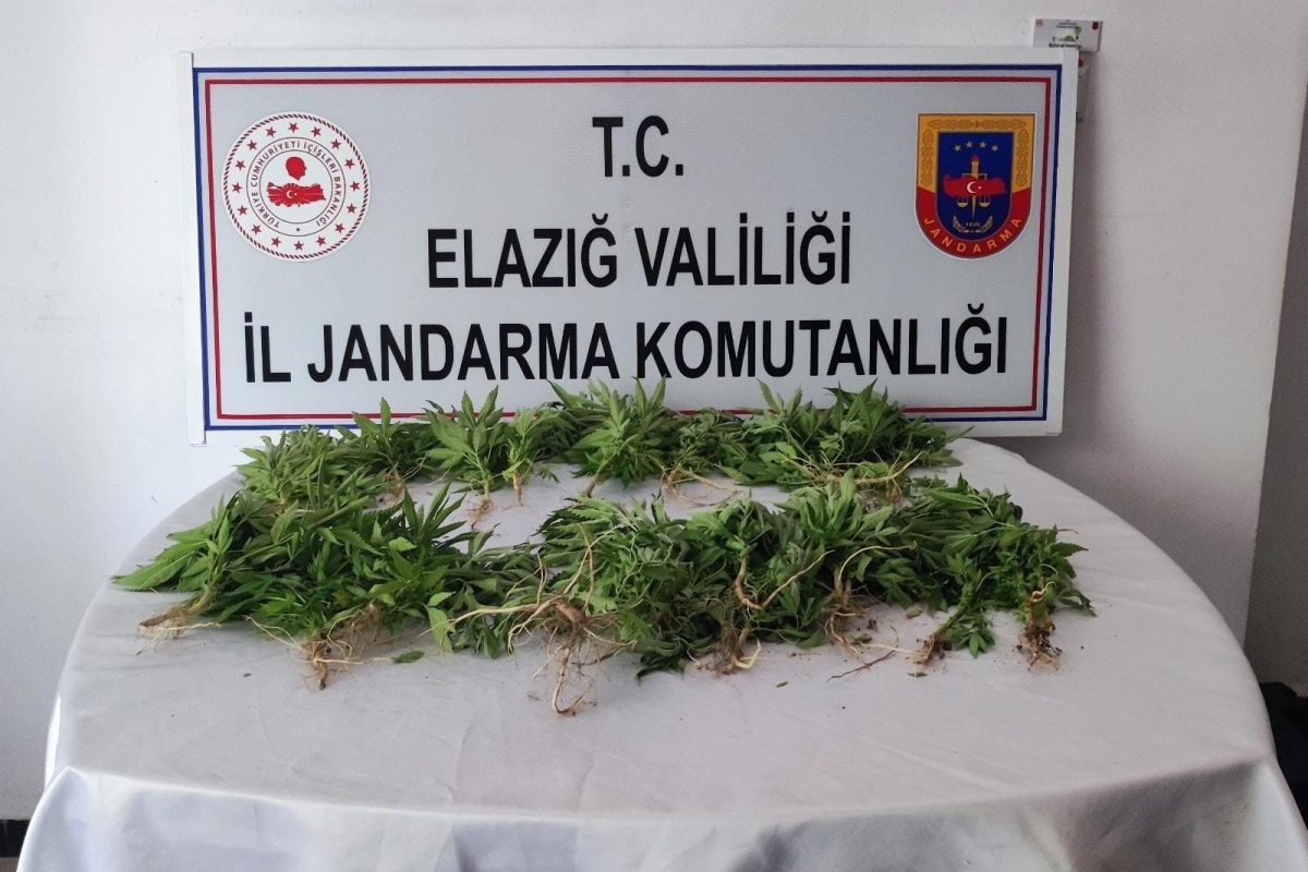 Elazığ’da uyuşturucu operasyonu