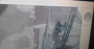 Elindeki dövme hırsızı ele verdi