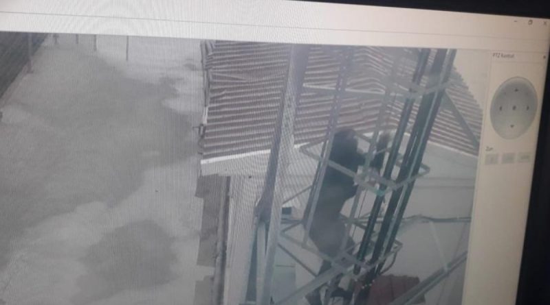 Elindeki dövme hırsızı ele verdi