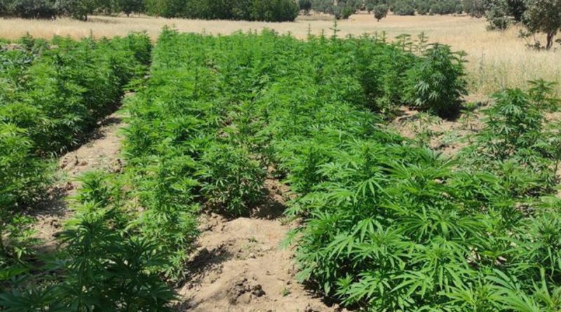 Eren Abluka-18 Narko Terör Operasyonu başladı: 4 gözaltı