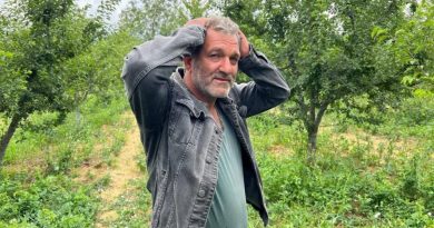 Erik tarlası soyulan çiftçiden hırsıza mesaj: "İşçilik güzel kendisiyle çay içmek istiyorum"