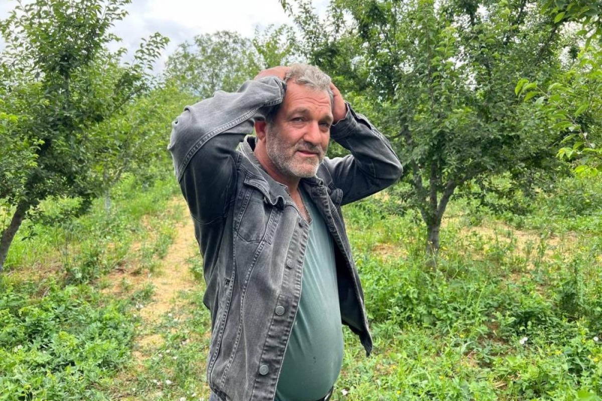 Erik tarlası soyulan çiftçiden hırsıza mesaj: