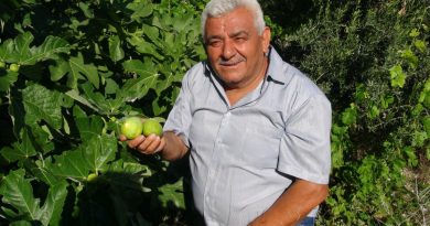 Erkenci incir üreticinin yeni gelir kapısı oldu