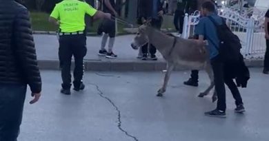 Erzurum’da güldüren olay