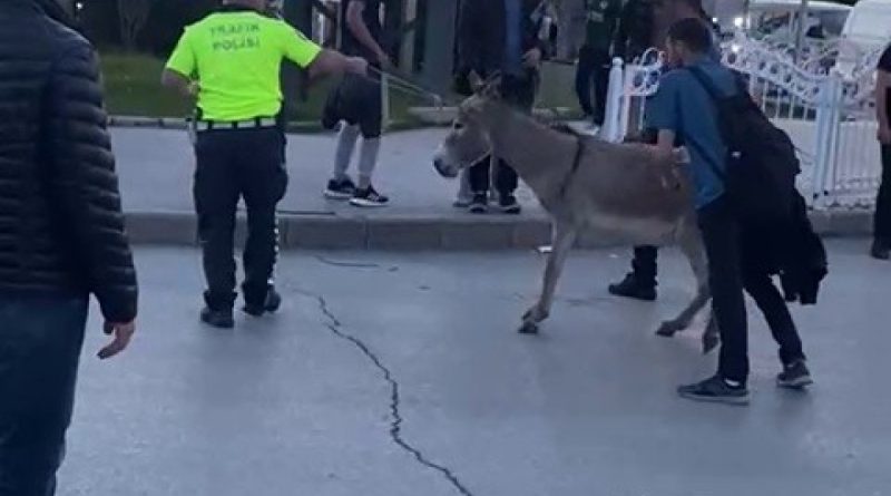 Erzurum’da güldüren olay
