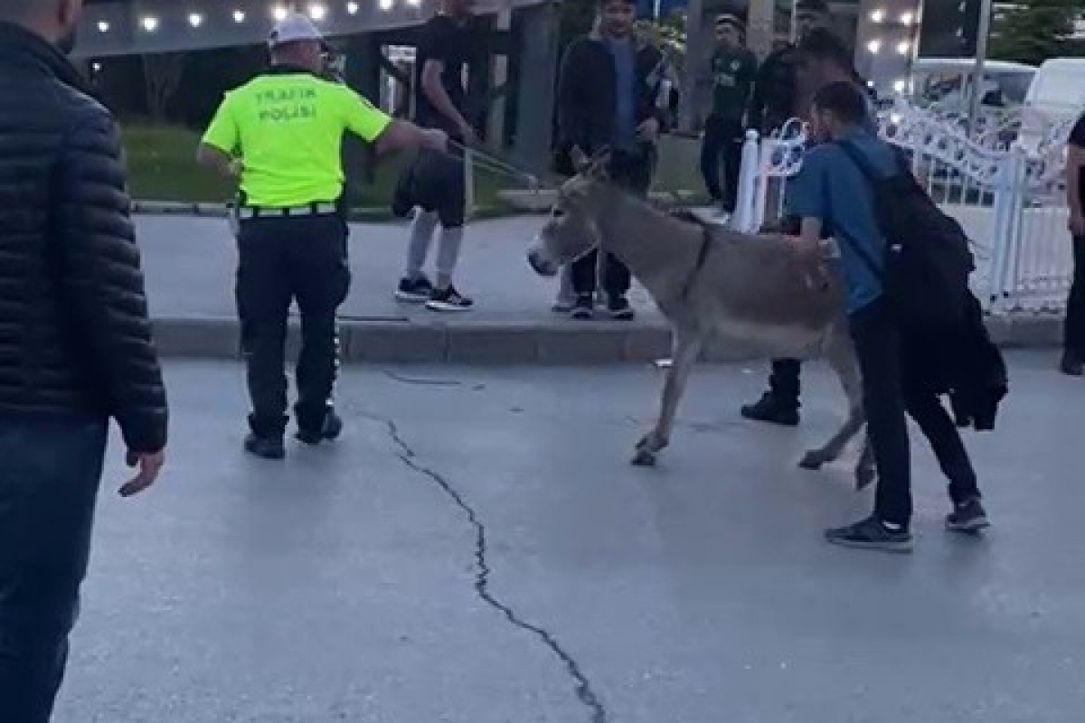 Erzurum’da güldüren olay