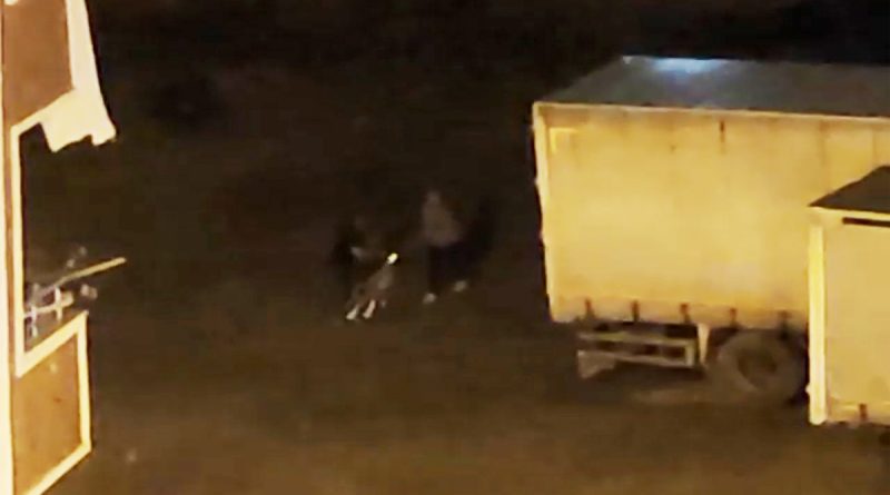 Esenyurt’ta boş arsada kavga ettiği adama ateş açtı: O anlar kamerada