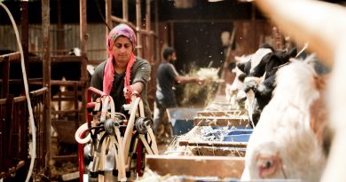 Evde canı sıkılan kadın hayvancılık işine girip 15 yılda servet sahibi oldu