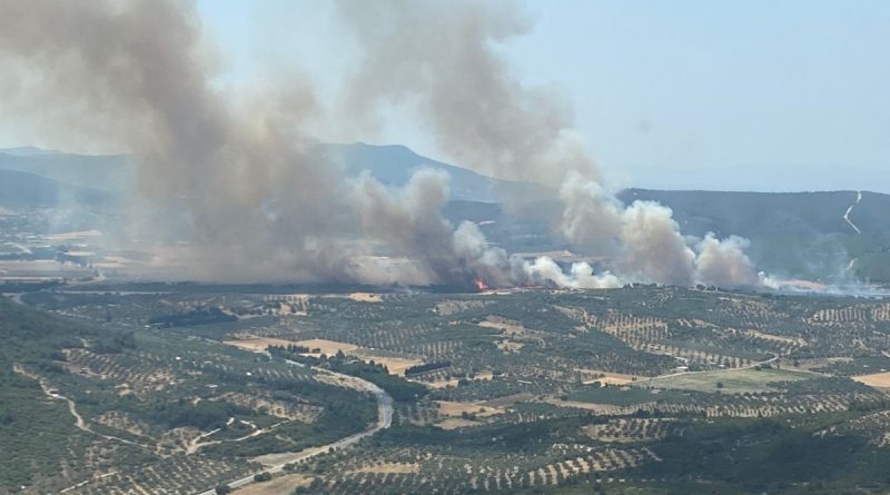 Foça’da orman yangını