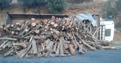 Freni boşalan kamyonun sürücüsü ölümden döndü