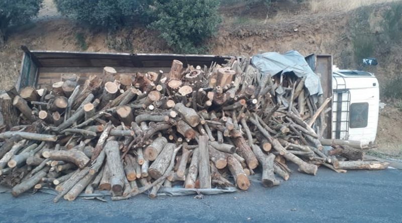 Freni boşalan kamyonun sürücüsü ölümden döndü