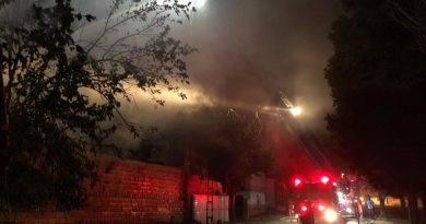 Gaziantep'te mobilya fabrikasında korkutan yangın