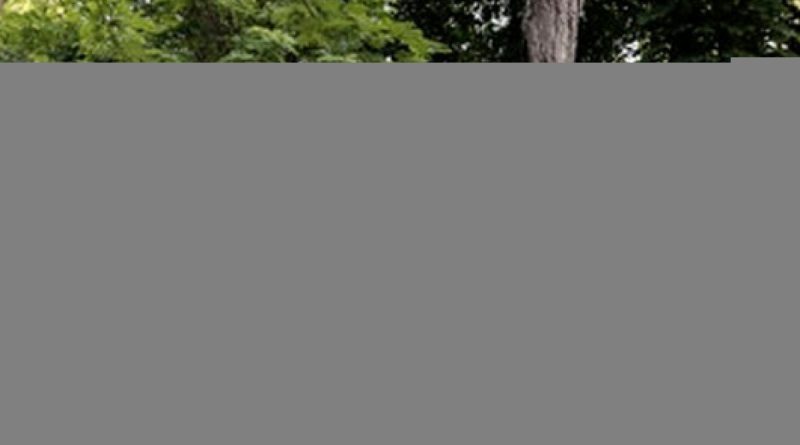 Gezi Parkı davasında gerekçeli karar açıklandı