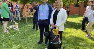 Görme engellilerin yol arkadaşı 'rehber köpekler'