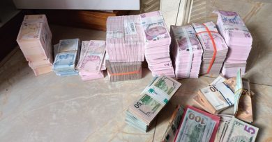 Gözaltı sayısının 310'a çıktığı 'Demir Yumruk' operasyonun detayları belli oldu