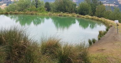 Gurbetçi kadın gölette ölü bulundu