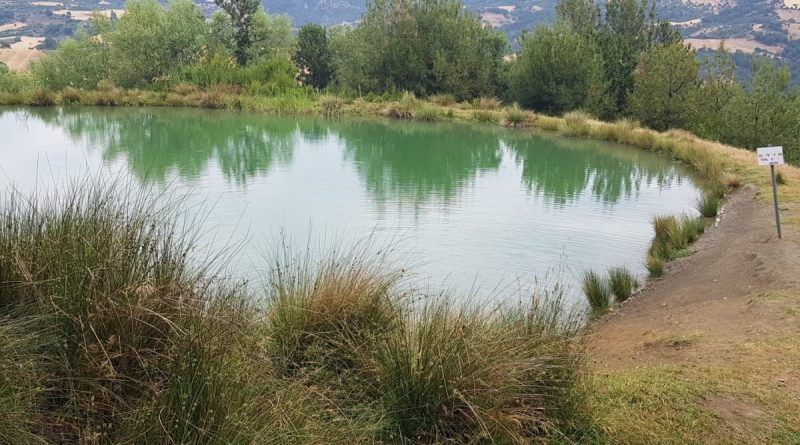 Gurbetçi kadın gölette ölü bulundu