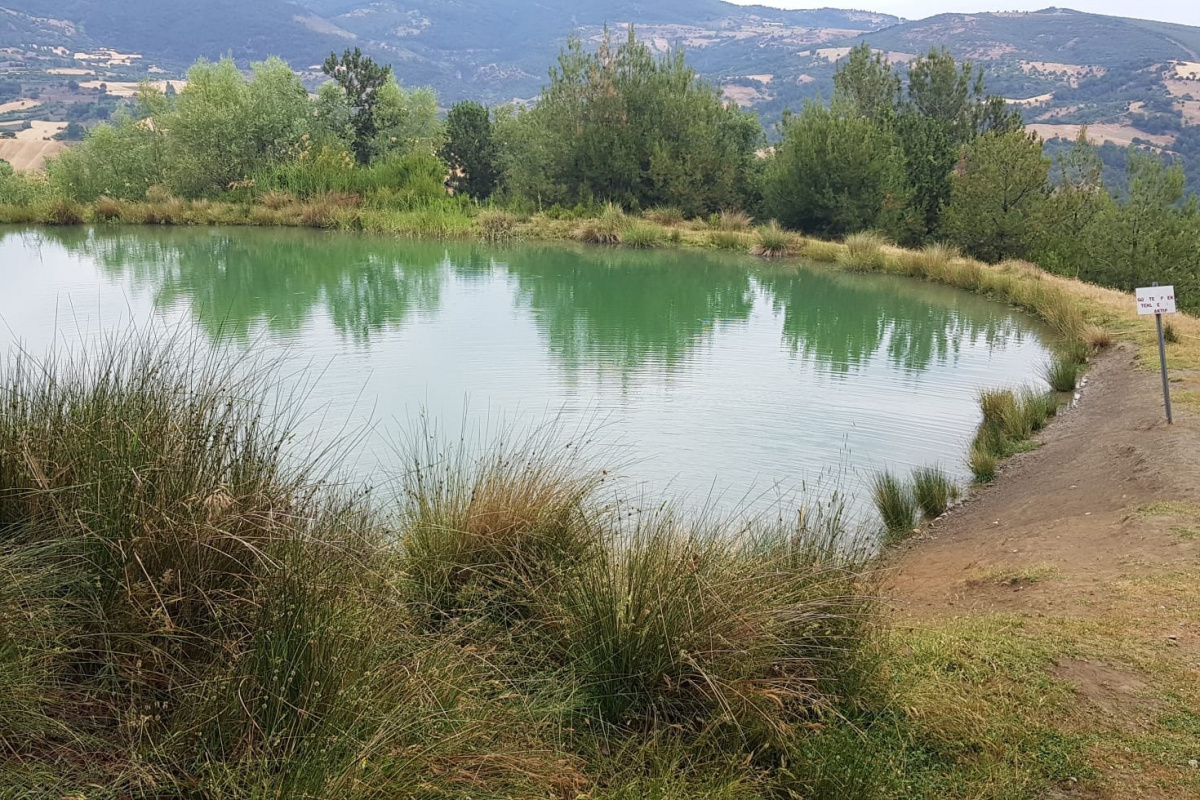Gurbetçi kadın gölette ölü bulundu