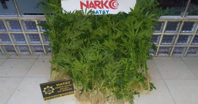 Hatay’da uyuşturucu operasyonu