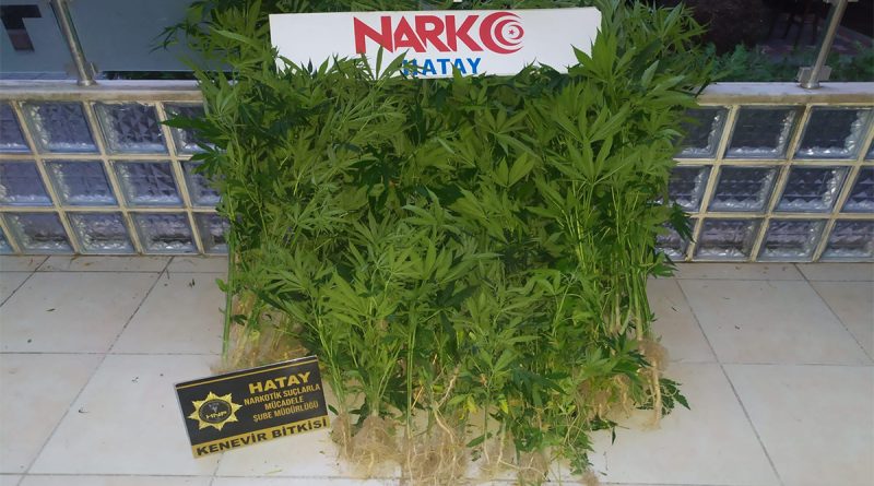 Hatay’da uyuşturucu operasyonu