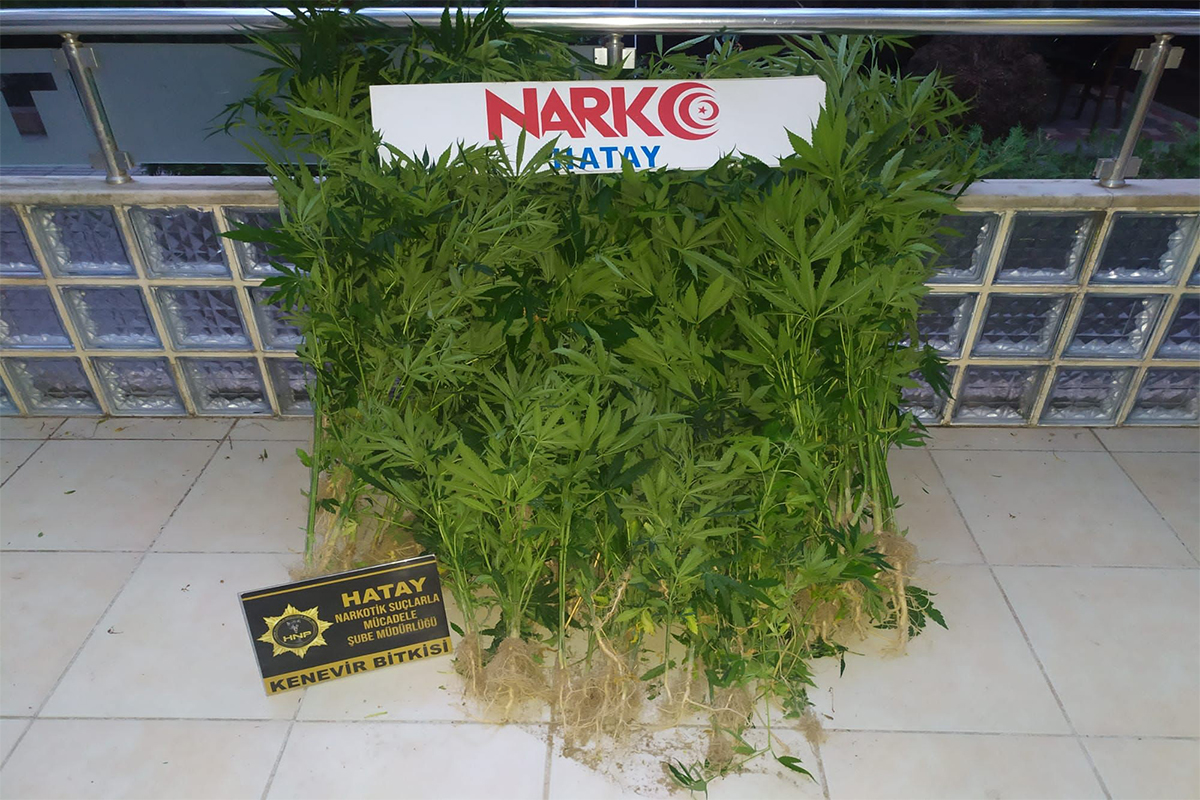 Hatay’da uyuşturucu operasyonu