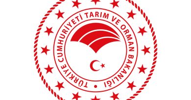 Hazine ve Maliye Bakanlığı'ndan BDDK kararı ile ilgili açıklama