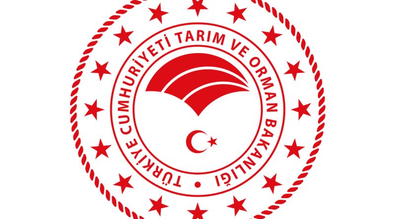 Hazine ve Maliye Bakanlığı'ndan BDDK kararı ile ilgili açıklama