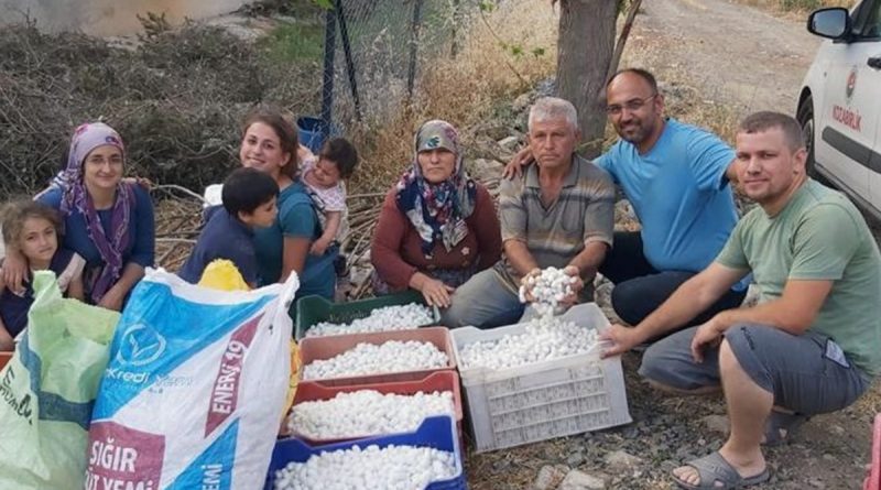 İpekböcekçiliğine destek arttı, üreticinin yüzü güldü