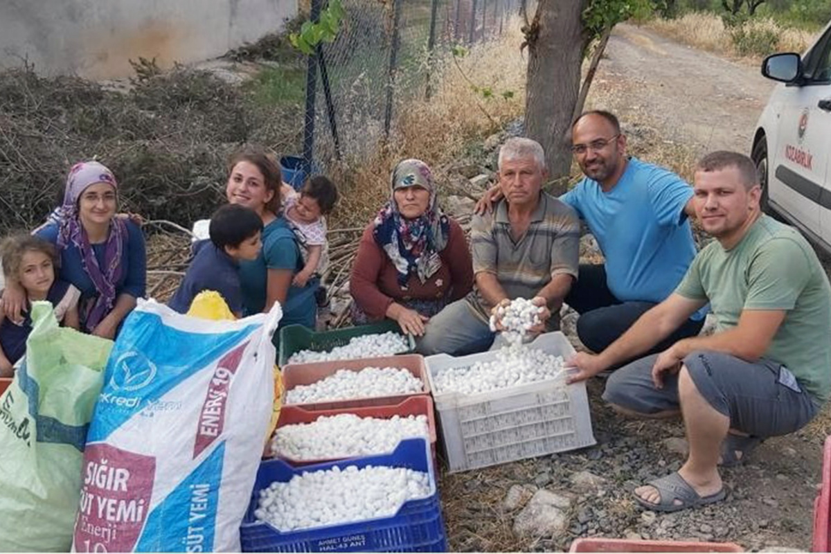 İpekböcekçiliğine destek arttı, üreticinin yüzü güldü