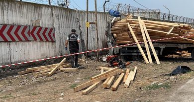 İskenderun’da freni boşalan kamyonet duvara çarptı, sürücü hayatını kaybetti