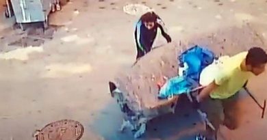 İstanbul’da 'çekçek' ile motosiklet çalan hırsızlar kamerada