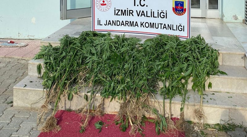 İzmir'de 11 ilçede uyuşturucu operasyonu!