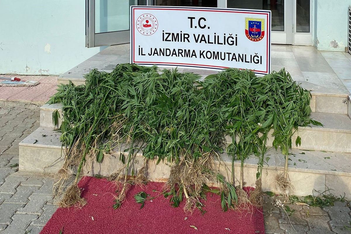 İzmir'de 11 ilçede uyuşturucu operasyonu!